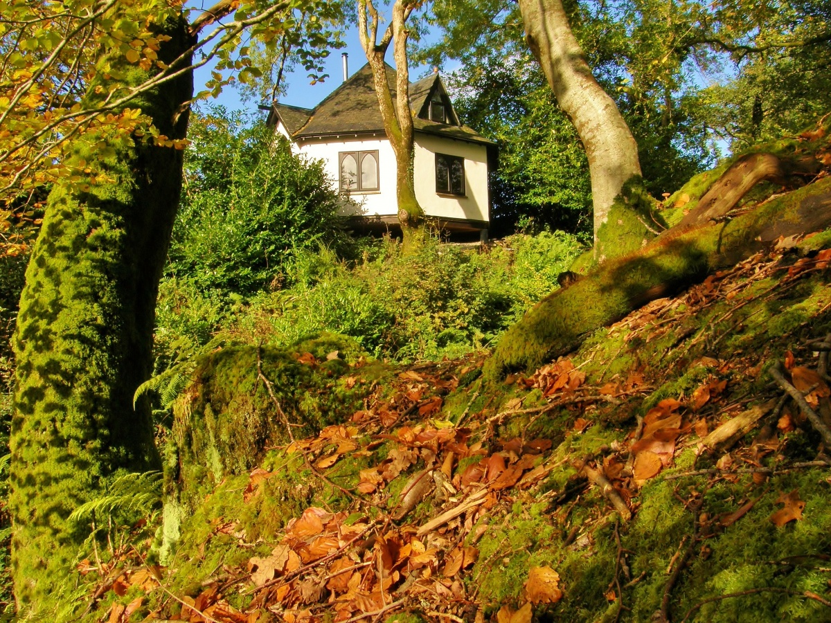 Kinlochlaich-Treehouse-Autumn.jpg