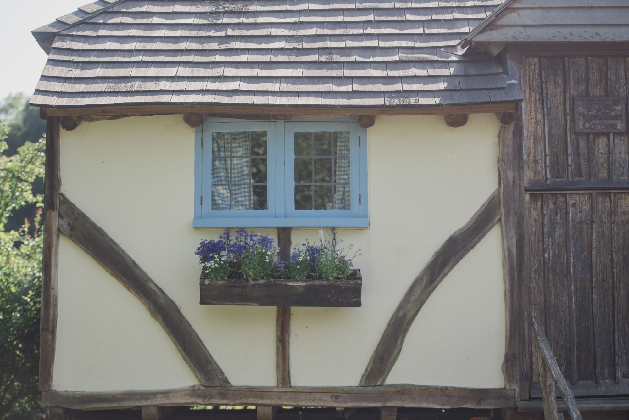 Swallowtail-Hill-Meadow-Cottage-window.jpg