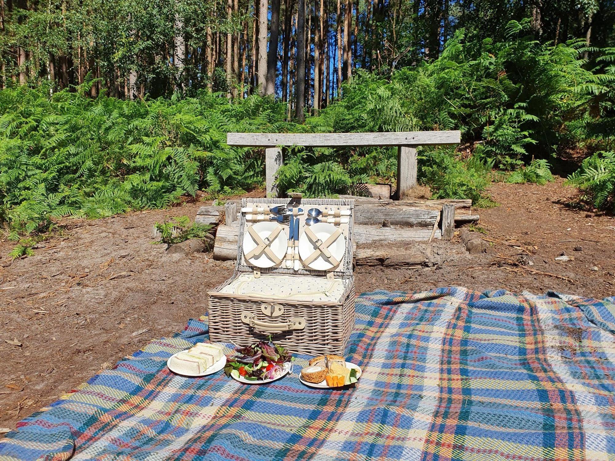 blog-merry-harriers-picnic.jpg