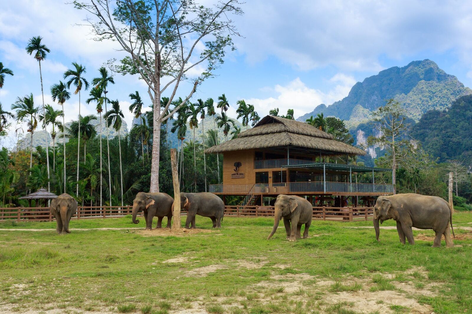 elephant-hills-pavilion.jpg